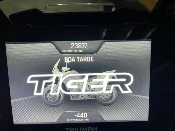 TRIUMPH TIGER 900 GT PRO 